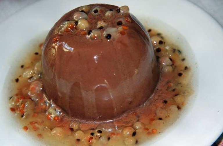 Panna Kottka