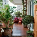 Balkon prawie jak ogród