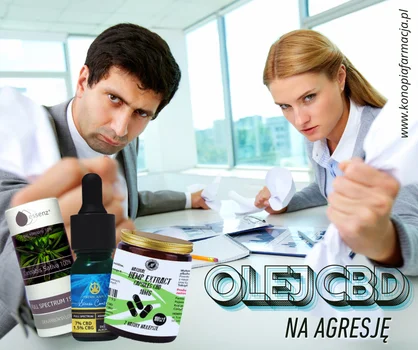 Olej CBD na agresję