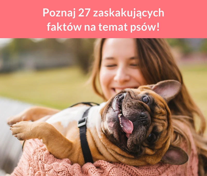 Poznaj 27 zaskakujących faktów na temat psów!