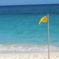 Co oznaczają kolory flag na plaży? Musisz to wiedzieć, zanim pojedziesz na wakacje!