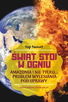 Pożary lasów to nasz wspólny problem - jak mogę pomóc zmienić sytuację?