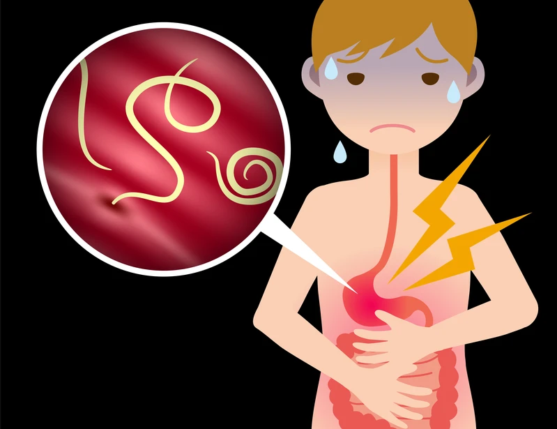 Pestki dyni to skuteczny sposób odrobaczania dzieci i dorosłych. Sprawdź jak je stosować