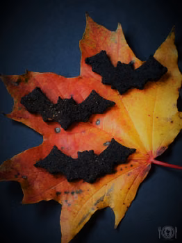 Keto czarne ciastka na Halloween (Paleo LowCarb)