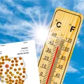 Nadciągają ekstremalne upały! Polskę czeka szok temperaturowy! Znamy datę