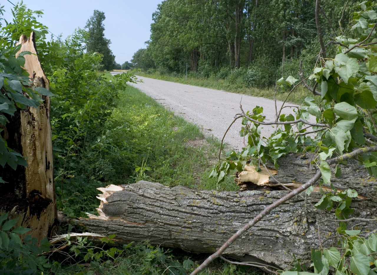 Do Polski nadchodzi niebezpieczeństwo pogodowe! Za kilka godzin ogłoszą alerty!