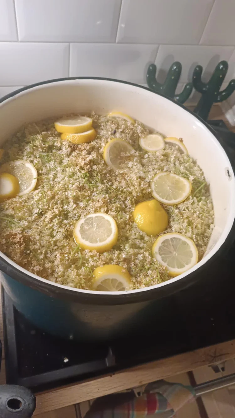 Zdjęcie Gotuję kwiaty czarnego bzu z cytryną i cukrem. Powstaje aromatyczny syrop, który Polacy robią od pokoleń #1