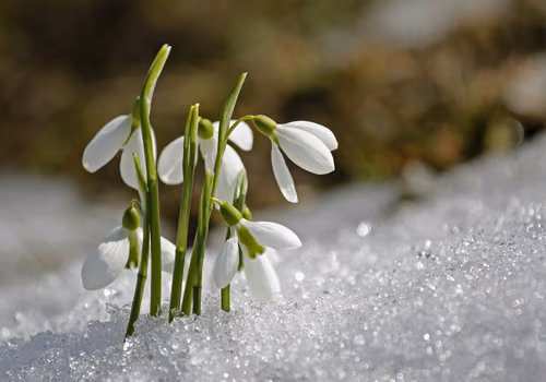 IMGW ostrzega Polaków! Temperatura spadnie nawet do -4 stopni