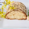 Prosta babka biszkoptowa z jabłkiem