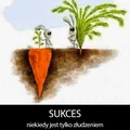 Sukces...