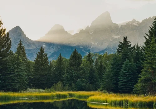 Europejski Dzień Parków Narodowych: Ochrona Przyrody i Dziedzictwa Kulturowego