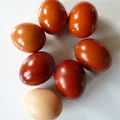 babciny sposób na barwienie jajek - gotowanie w łupinach cebuli