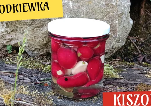 Kiszona rzodkiewka