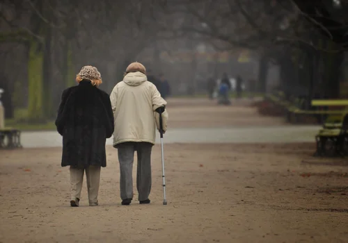 Rewolucja dla seniorów! Program ASY 2026 zmienia wszystko