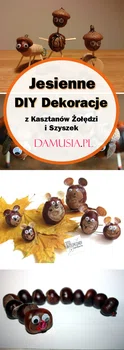 TOP 20 Inspiracji na Jesienne DIY Dekoracje z Kasztanów Żołędzi i Szyszek – Idealna Zabawa dla Dziec