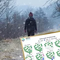 Jest najnowsza prognoza temperatury i opadów śniegu na Święta! Modele IMGW zaskakują
