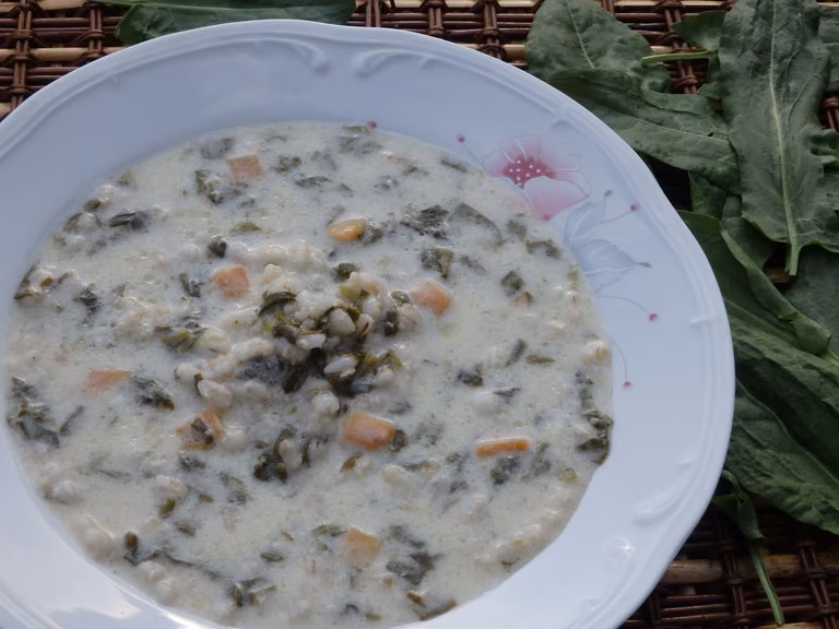 Zupa szczawiowa z pęczakiem