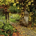 Jesienny widok