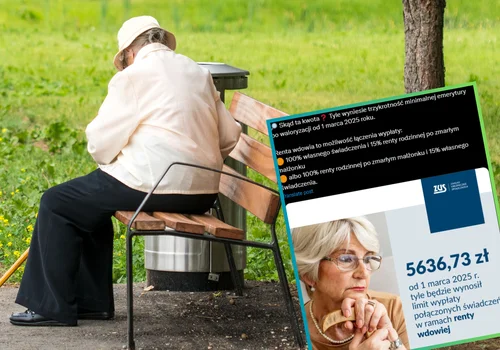 5600 złotych miesięcznie! ZUS potwierdził podwyższenie limitu kwoty renty wdowiej