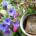 Ta popularna roślina to naturalny lek na objawy menopauzy i wzmocnienie serca! Zrób z niej napar i poczuj się lepiej
