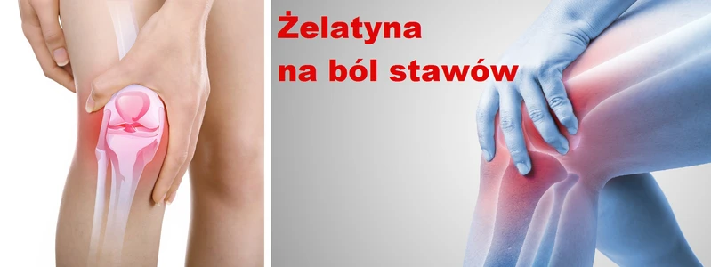 Wykorzystaj ŻELATYNĘ i wzmocnij swoje STAWY!