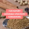 Cud natury - kardamon i jego właściwości zdrowotne (+przepis na kawę z kardamonem)