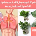 Użyj tych trzech ziół, by oczyścić płuca z kurzu, bakterii i pleśni!