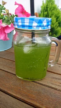 Bazyliowa lemoniada bez cukru