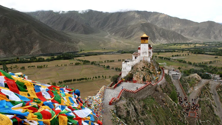 Zdjęcie Tybetańska nalewka czosnkowa – eliksir młodości #2