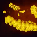 Ten jeden owoc może obniżyć poziom cholesterolu!
