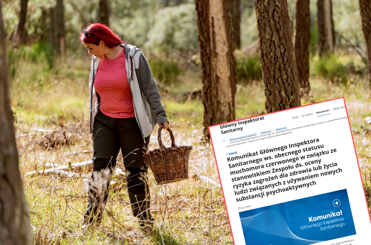 GIS wydał ważny komunikat z ostrzeżeniem! Mimo zakazu sprzedaż kwitnie, a skutki mogą być tragiczne