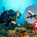 Dlaczego po nurkowaniu nie powinieneś od razu latać samolotem? Zasady, które ratują zdrowie i życie