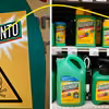 Monsanto zapłaci 1,1 mld zł odszkodowania. Jego produkt wywołał raka!