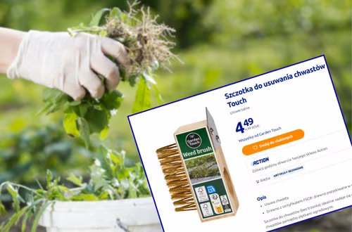 Ta szczotka z Action za 4 zł to wiosenny hit klientów! Chwasty nie mają szans - łatwe i przyjemne czyszczenie chodnika i kostki