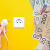 1 sierpnia ruszył nabór o nowe świadczenie! Wniosek o 1200 złotych  dofinansowania można złożyć przez telefon