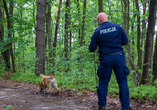 Policyjny pies Lingwa odnalazł zaginionego 46-latka