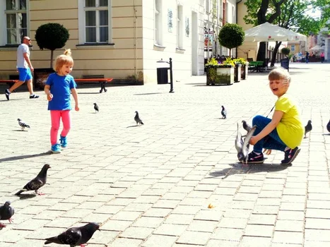Migawki z Zielonej Góry
