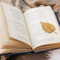 Międzynarodowy Dzień Poezji: Odkryj Magię Słów i Emocji