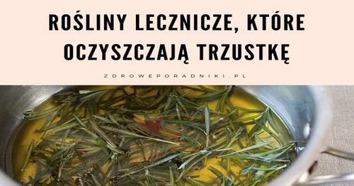 Rośliny lecznicze, które oczyszczają trzustkę