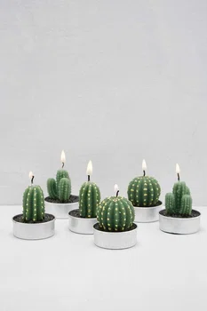 Świeczki w kształcie kaktusów