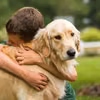 Celebrowanie Międzynarodowego Dnia Golden Retrievera: Zrozumienie i Docenianie Naszych Pupili