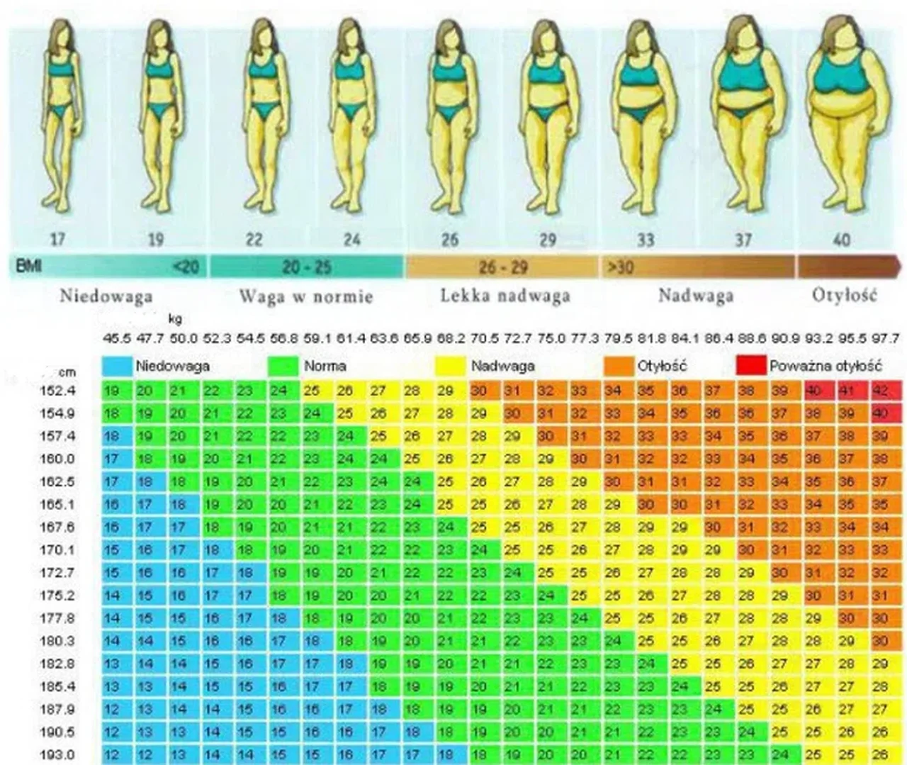 Sprawdź, w której rubryce się mieścisz? Tabela BMI