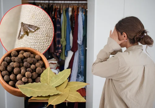 Zrób woreczek z zielem angielskim i liściem laurowym – pozbędziesz się moli i nieprzyjemnych zapachów!