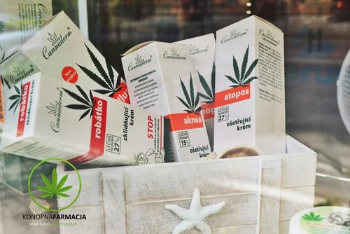 Pielęgnacja ciała i włosów produktami z konopi - dlaczego warto?