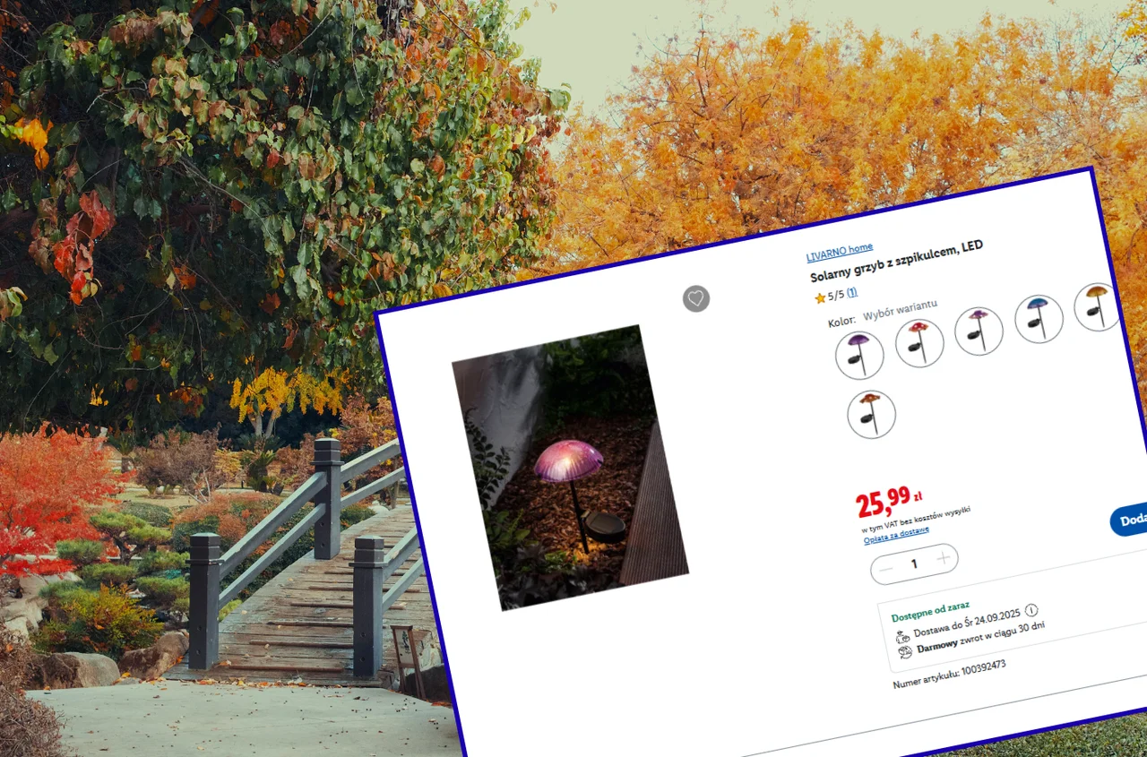 Te urocze solarne lampki z Lidla będą hitem jesieni! Tylko 26 zł, bez kabli i rachunków,  a efekt jak z zaczarowanego ogrodu