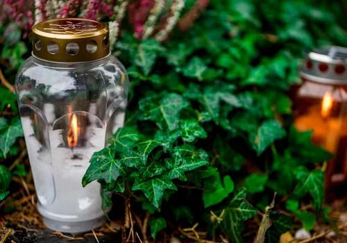 Nowy rodzaj pogrzebów w Polsce! Za eko-pochówek zapłacimy niecałe 500 zł