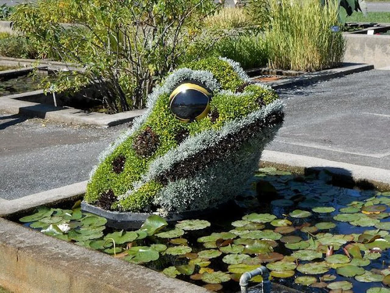 Dekoracyjna żaba do ogrodu