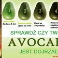 JAK SPRAWDZIĆ CZY NASZE AWOKADO JEST DOJRZAŁE ?
