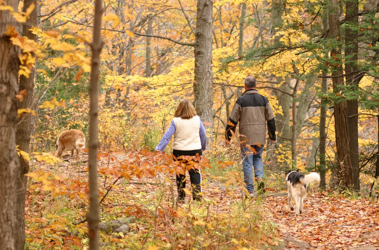 Ostatni dzwonek na zaległy urlop! Co grozi pracodawcy po 30 września?