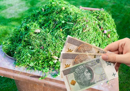 Skoszona trawa to nie śmieć! Uwaga  można dostać nawet 500 zł mandatu!